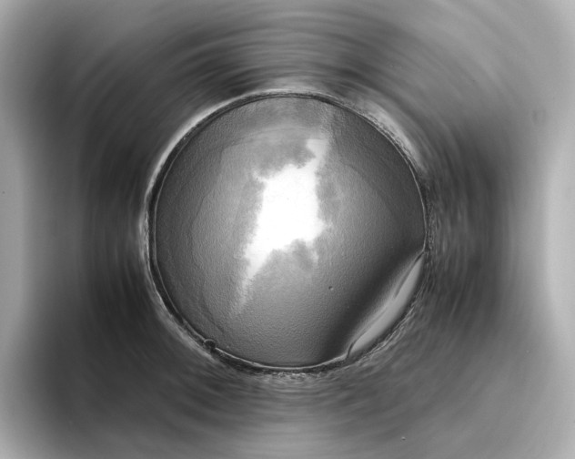 X0000095121092200712211305