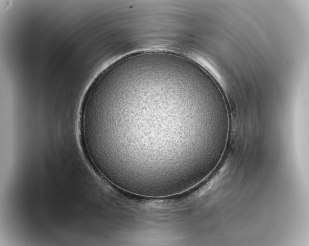 X0000095121093200712211305