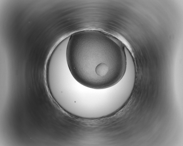 X0000095121096200712211305