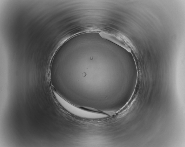 X0000095121097200712211305