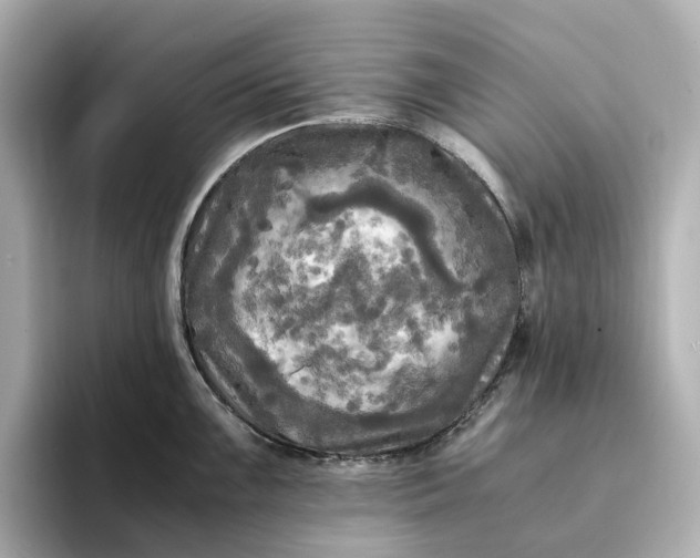 X0000095121099200712211305