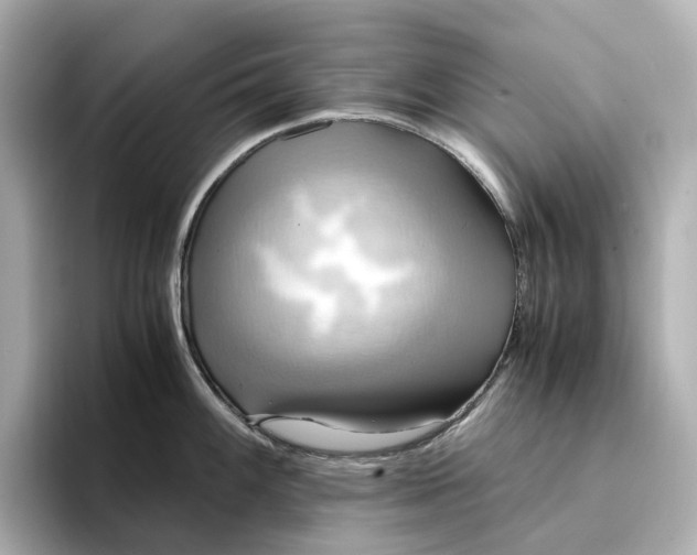 X0000095121100200712211305