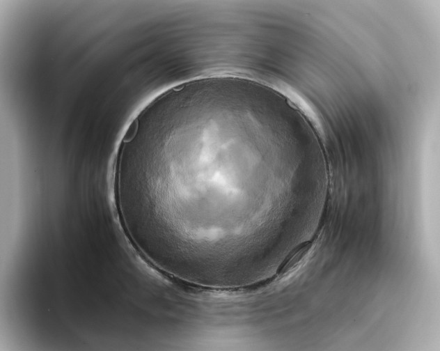 X0000095121102200712211304