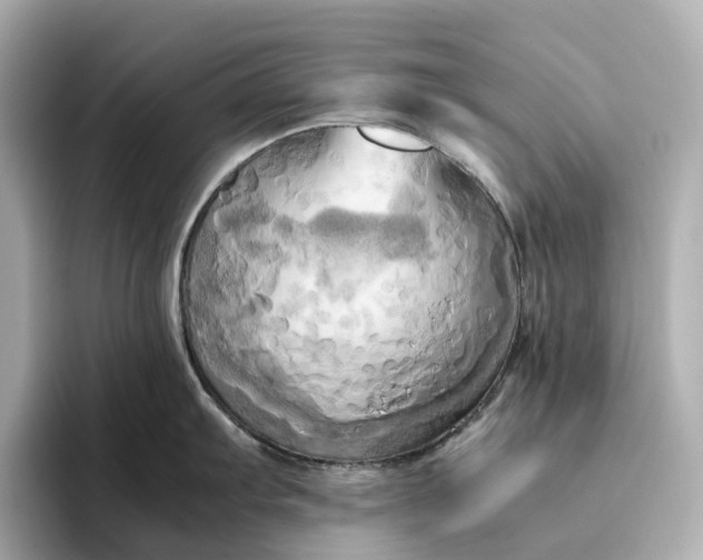 X0000095121103200712211304