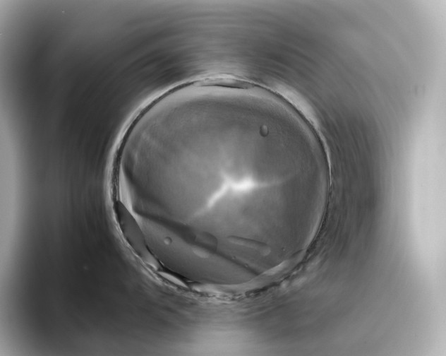 X0000095121104200712211304