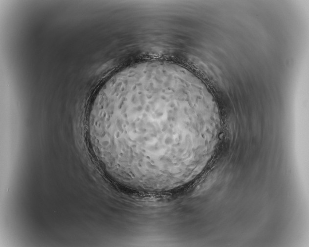 X0000095121105200712211304