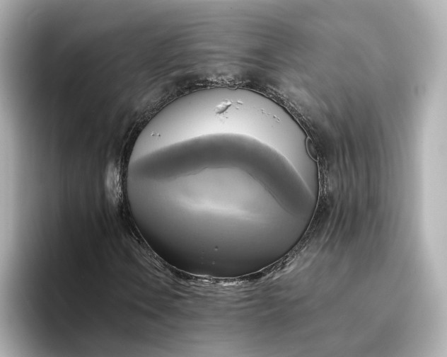 X0000095121106200712211304