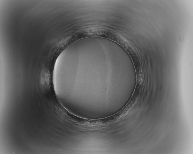 X0000095121108200712211304