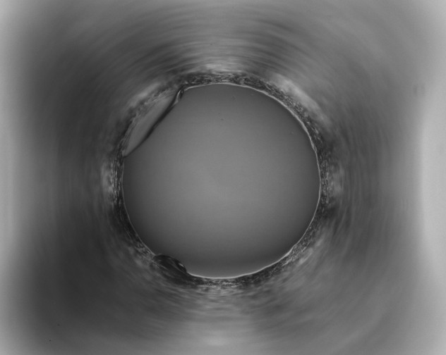 X0000095121110200712211304