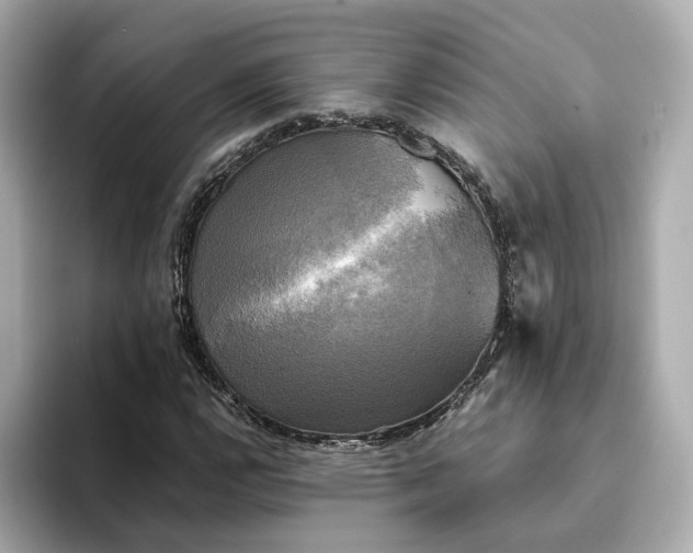 X0000095121112200712211304