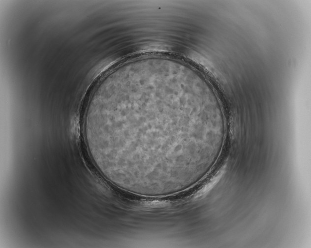 X0000095121113200712211304