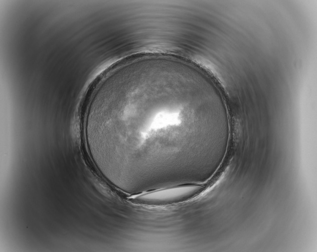 X0000095121114200712211304