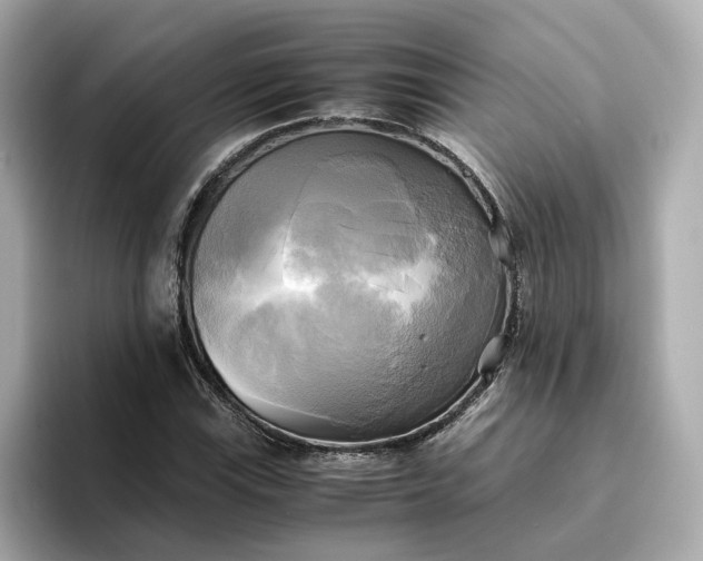 X0000095121115200712211304