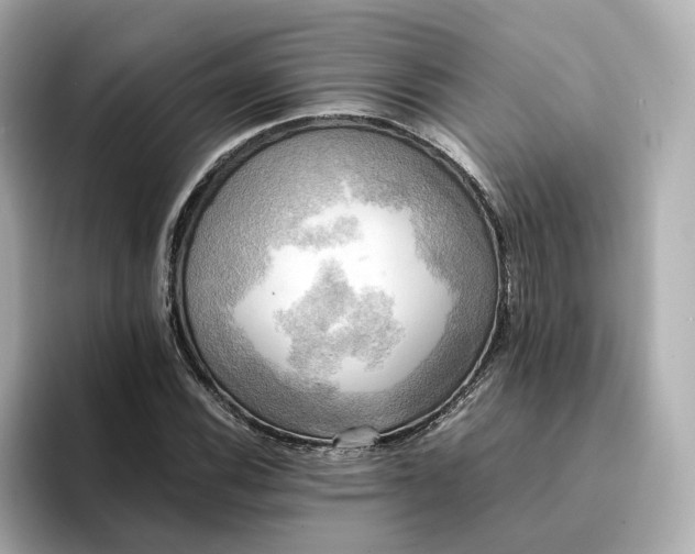 X0000095121116200712211304