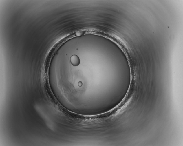 X0000095121117200712211304