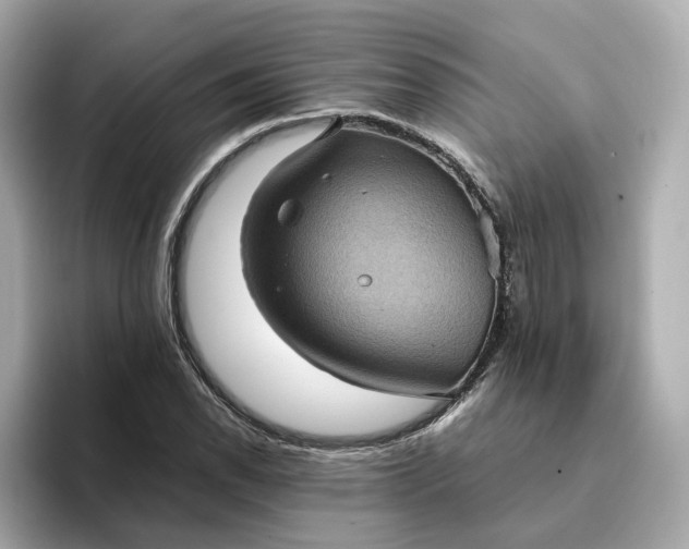 X0000095121118200712211304