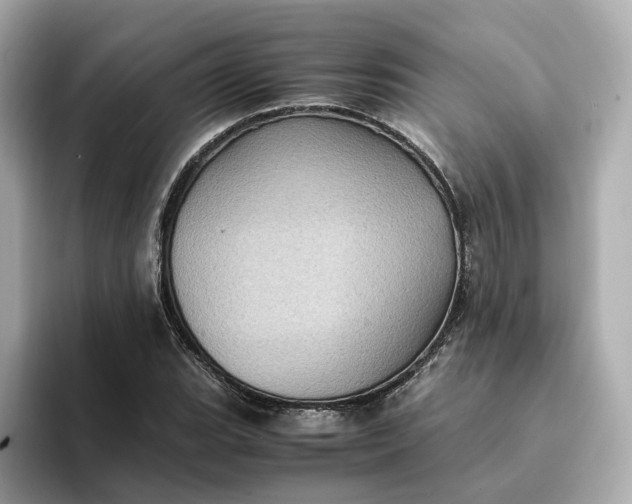 X0000095121119200712211304