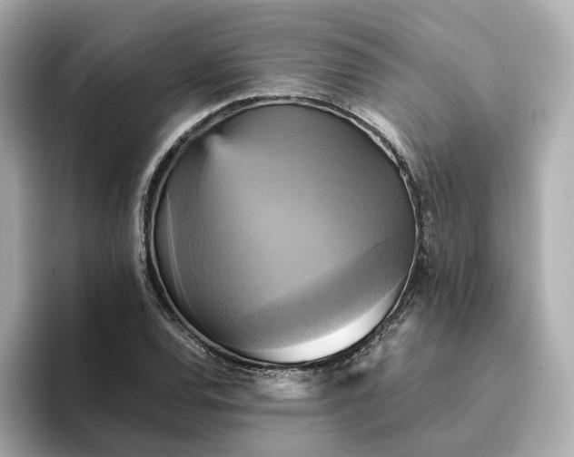 X0000095121120200712211304