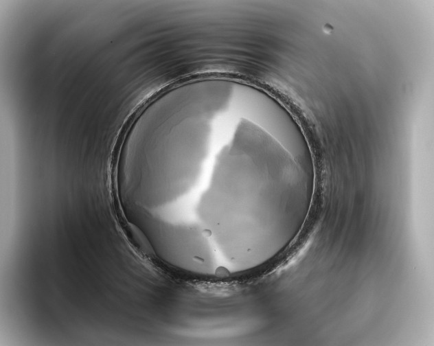 X0000095121121200712211304