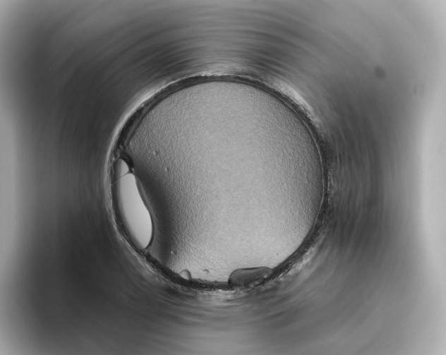 X0000095121122200712211304