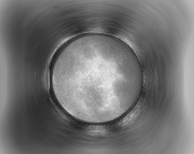 X0000095121123200712211304