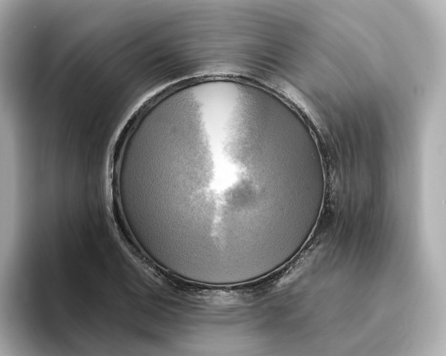 X0000095121124200712211304