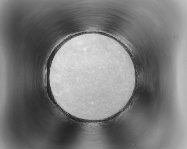 X0000095121126200712211304