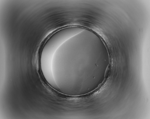 X0000095121127200712211304