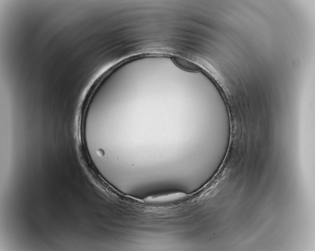 X0000095121128200712211304