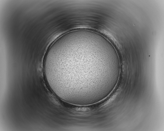 X0000095121129200712211304