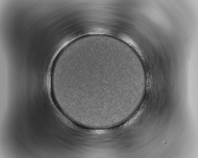 X0000095121130200712211304