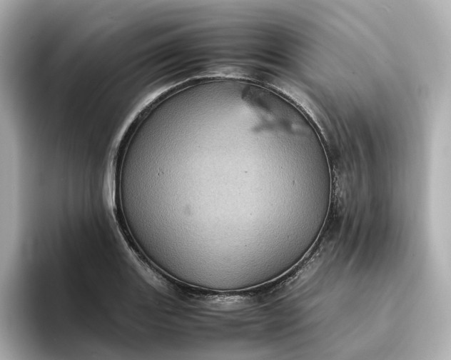 X0000095121131200712211304