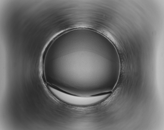 X0000095121132200712211304