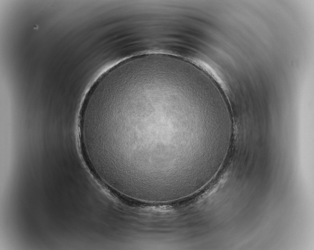 X0000095121133200712211304