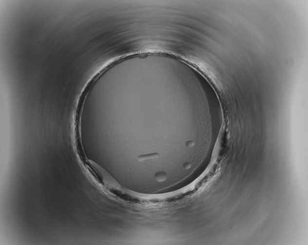 X0000095121134200712211304