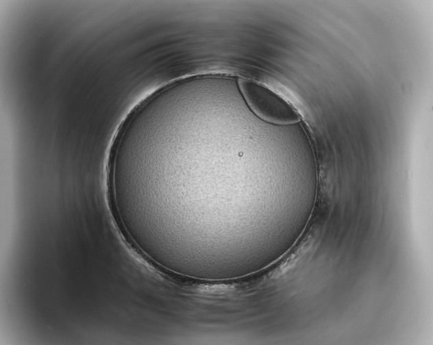 X0000095121135200712211304