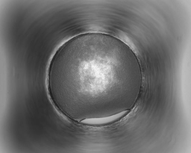 X0000095121136200712211304