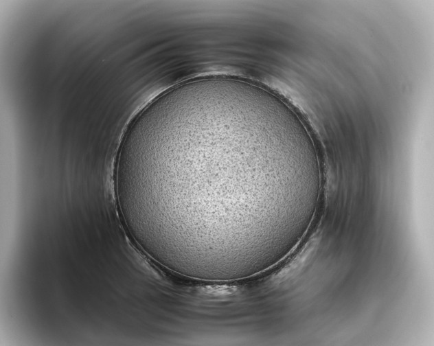 X0000095121137200712211304