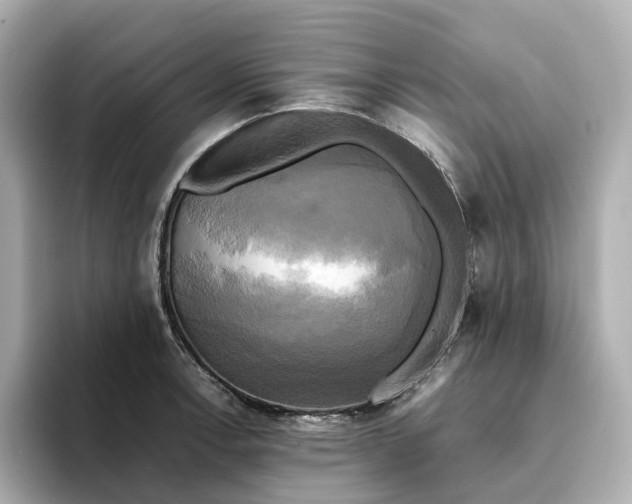 X0000095121138200712211304