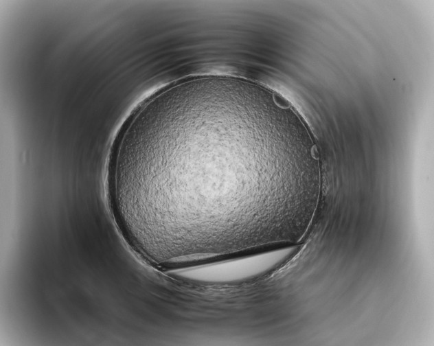 X0000095121139200712211304