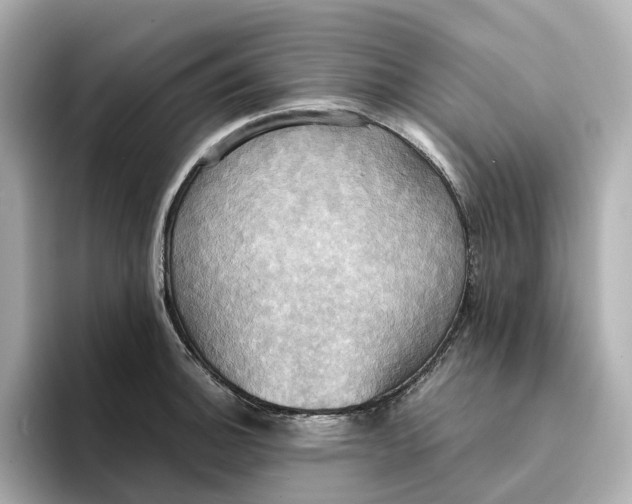 X0000095121140200712211304