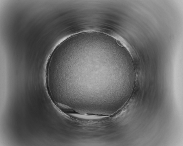 X0000095121143200712211304