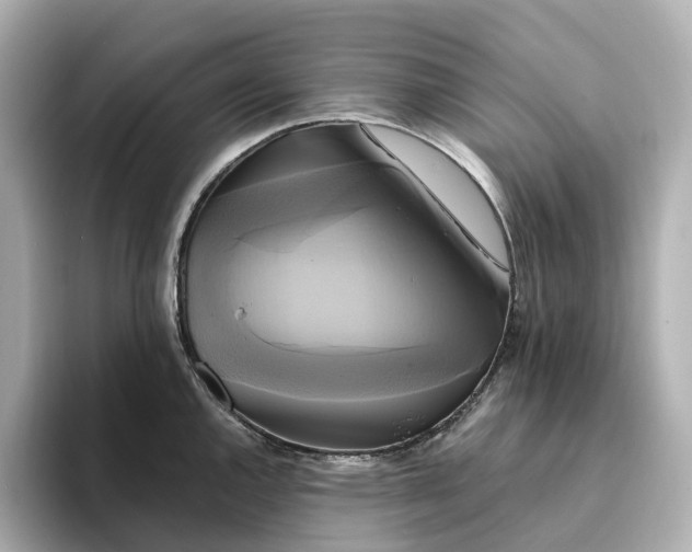 X0000095121144200712211304