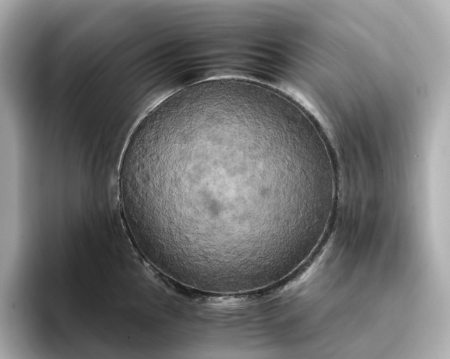 X0000095121145200712211304