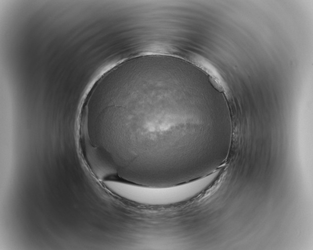 X0000095121146200712211304