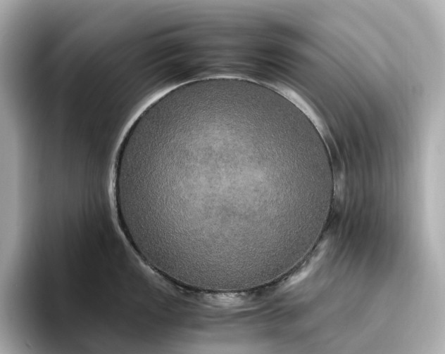 X0000095121149200712211304