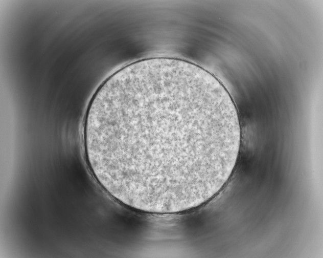 X0000095121150200712211304