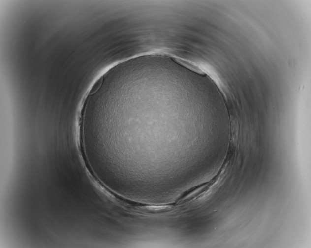 X0000095121151200712211304