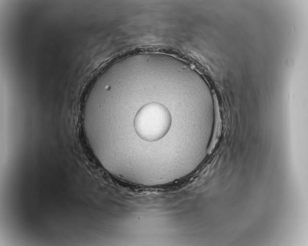 X0000095121157200712211304