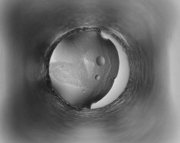 X0000095121160200712211304